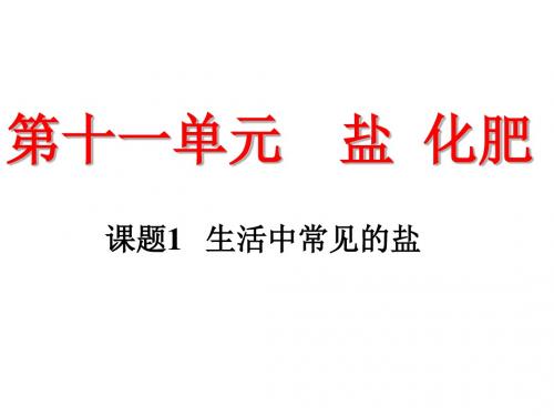 (新人教版)九年级下册第十一单元课题1生活中常见的盐课件(共19张PPT)