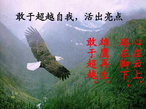 修身养性、赢在职场：超越自我_活出亮点