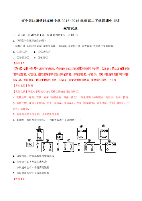 精品：【全国百强校】辽宁省沈阳铁路实验中学2015-2016学年高二下学期期中考试生物试题(解析版)