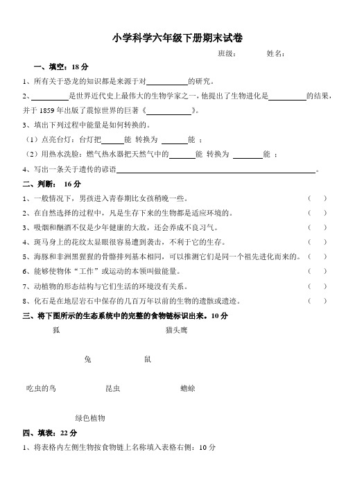 科学六年级下册期末试卷