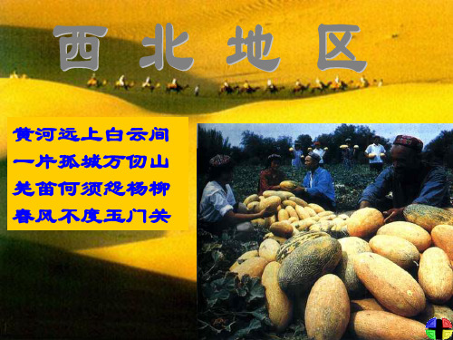 2020届高三一轮复习专题复习 西北地区用新(共36张PPT)