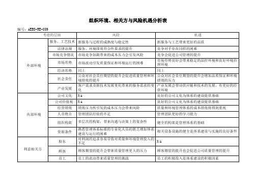 组织环境与风险机遇分析表