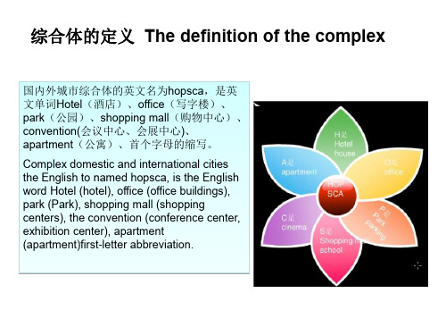 主要商业综合体案例分析报告