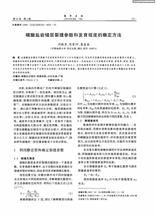 碳酸盐岩储层裂缝参数和发育程度的确定方法