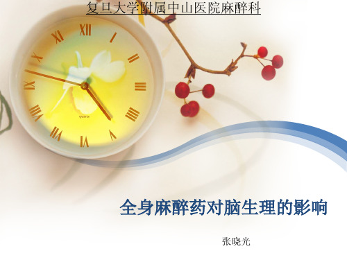 全身麻醉药对脑生理的影响