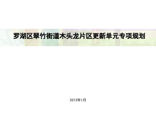 XX城市更新单元专项规划