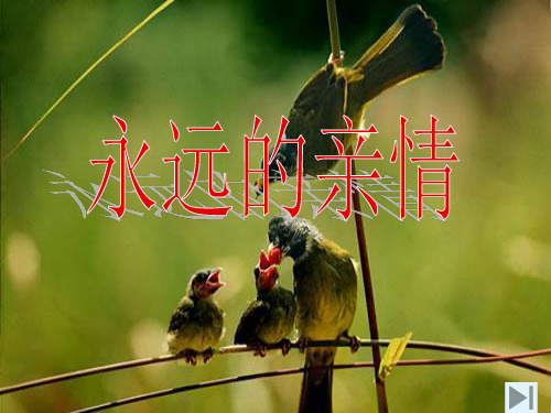 初中作文指导永远的亲情ppt1
