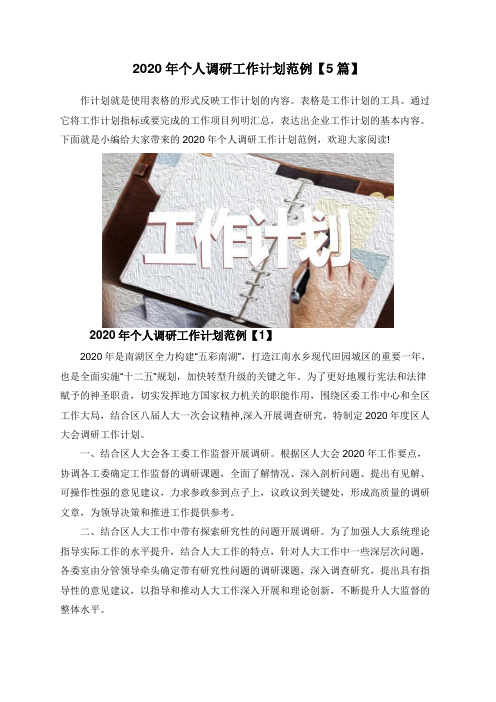 2020年个人调研工作计划范例【5篇】
