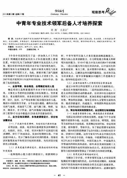 中青年专业技术领军后备人才培养探索