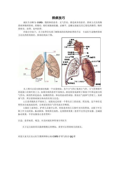 扣背排痰技巧