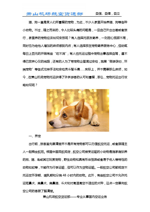 如何办理萧山机场宠物托运