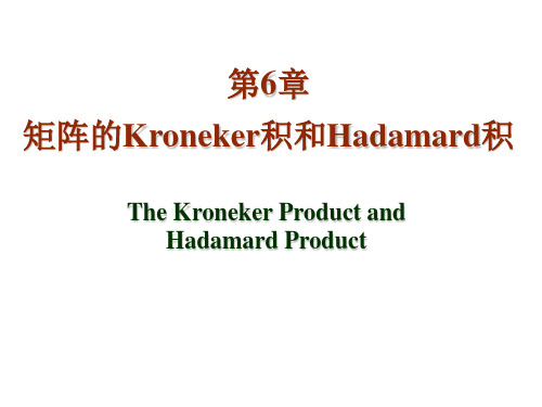 第6章 矩阵的Kronecker积与Hadmard积