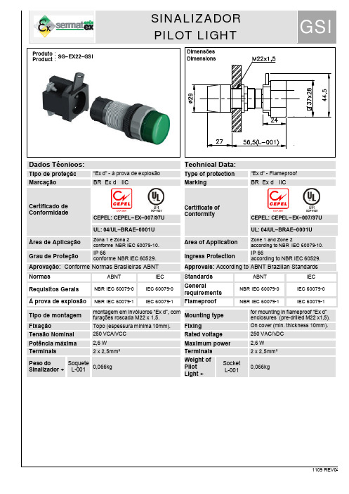 1109 REV04 SINALIZADOR PILOT LIGHT GSI 技术参数说明书