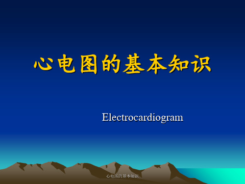 心电图的基本知识 ppt课件