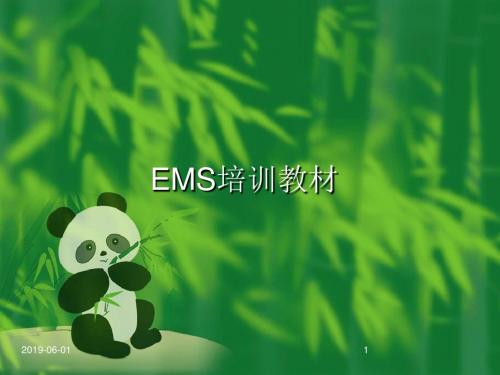 EMS标准培训教材 212页PPT文档
