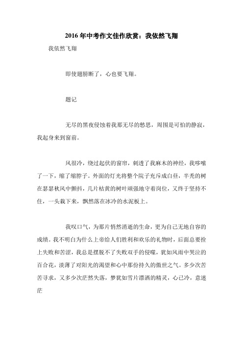 2016年中考作文佳作欣赏：我依然飞翔