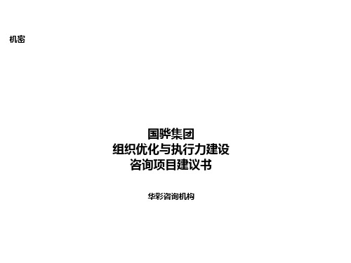 企业咨询-华彩咨询国骅集团组织优化与执行力建设 精品001