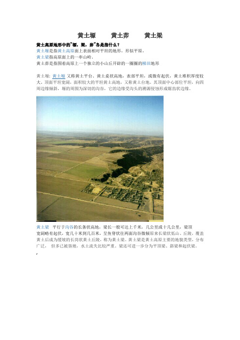 黄土塬     黄土茆     黄土梁