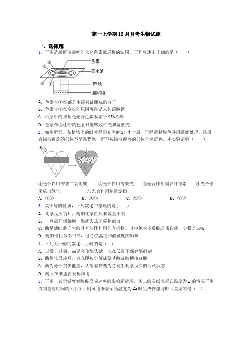 高一上学期12月月考生物试题