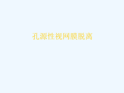 孔源性视网膜脱离图