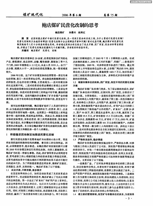 鲍店煤矿民营化改制的思考