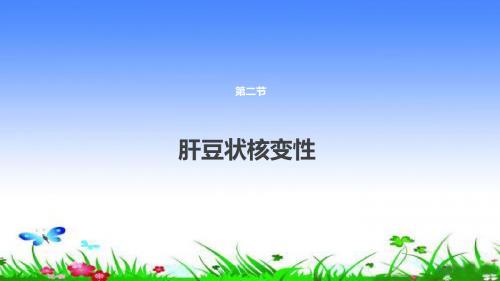 肝豆状核变性
