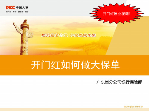如何做大保单