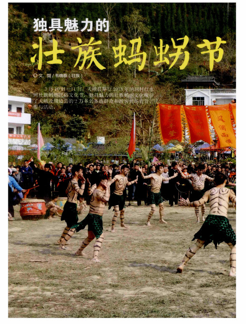 独具魅力的壮族蚂[虫另]节