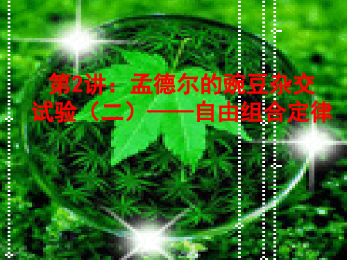 自由组合定律一轮复习课件.