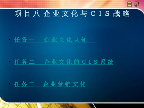 企 业 文 化 与 CIS 战 略