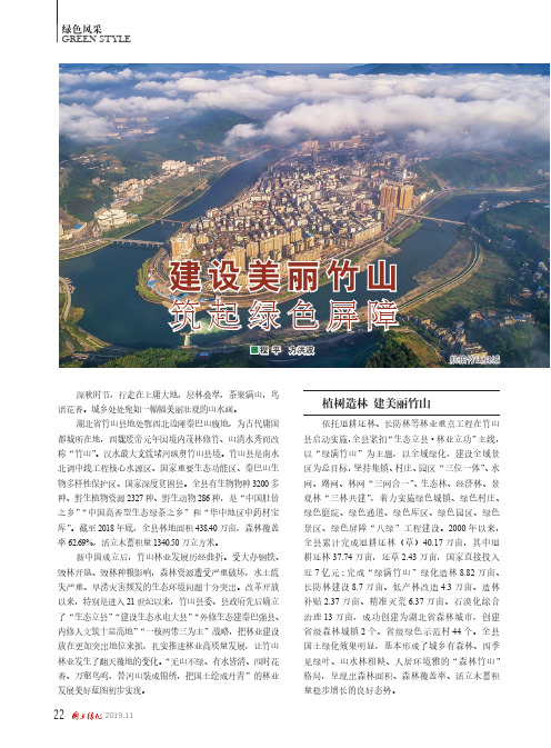 建设美丽竹山 筑起绿色屏障