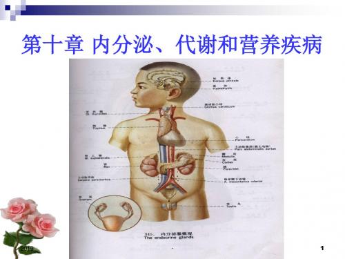 总论及各论ppt课件