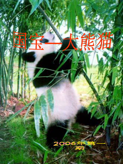 《国宝—大熊猫》ppt课件 