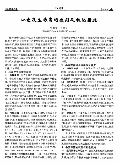 小麦发生冻害的原因及预防措施