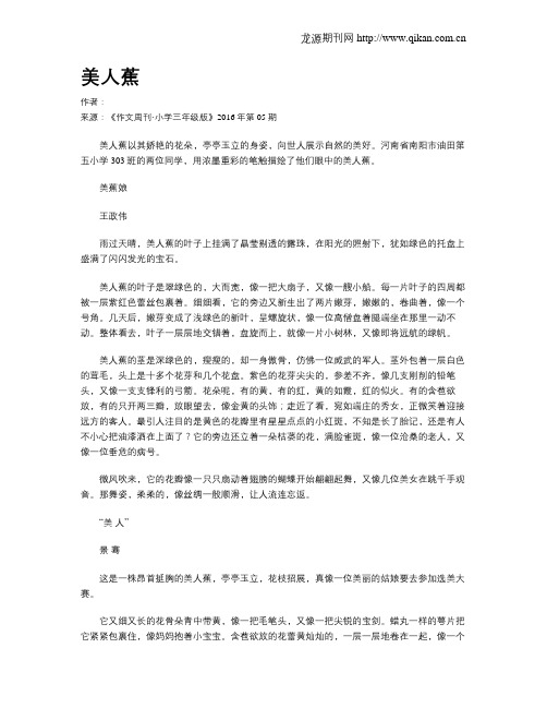 美人蕉