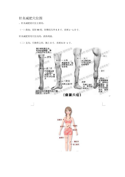 针灸减肥