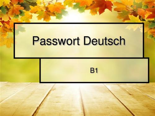 Passwort Deutsch教案L1