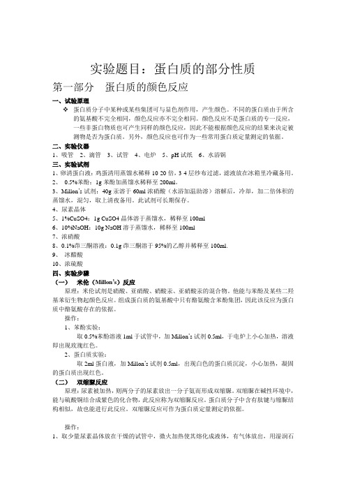 生化实验报告——蛋白质部分