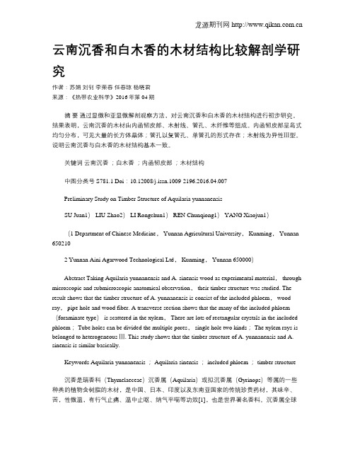 云南沉香和白木香的木材结构比较解剖学研究