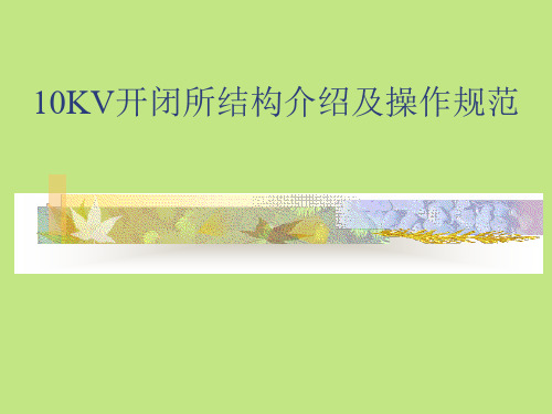 10KV开闭所结构及操作规范