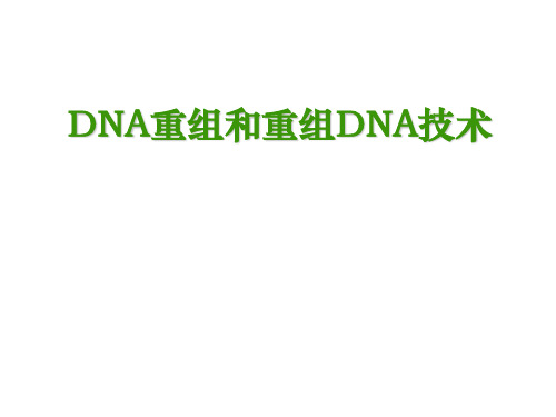 DNA重组及重组DNA技术PPT课件