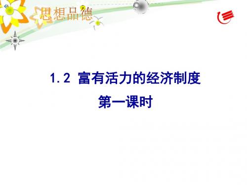 富有活力的经济制度第一课时-资料