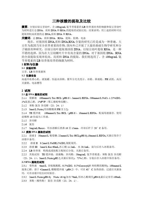 三种核酸的提取与比较