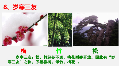 墨梅图题诗
