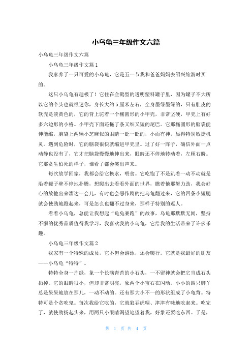 小乌龟三年级作文六篇