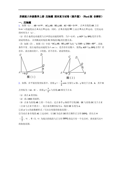 苏教版八年级数学上册 压轴题 期末复习试卷(提升篇)(Word版 含解析)