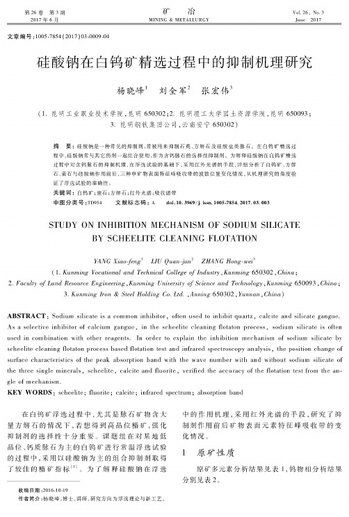 硅酸钠在白钨矿精选过程中的抑制机理研究