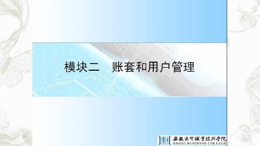 会计电算化账套与用户ppt课件