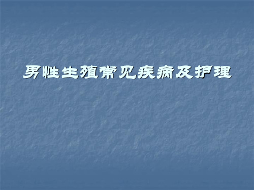 男性生殖系统常见疾病  PPT课件