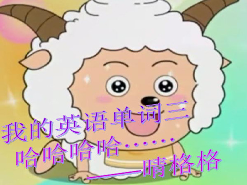 我的四六级单词三精品PPT课件